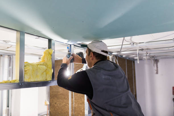 Best Residential Insulation in Southside Place, TX