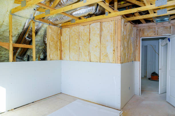 Best Insulation Maintenance and Repair in Southside Place, TX